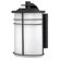 Hinkley Lighting Ledgewood Small Outdoor Wall Lantern in Vintage Black