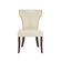 Safavieh Ryan Side Chair (Set of 2)