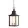 Savoy House Monte Grande  Outdoor Hanging Lantern