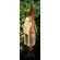 Heartwood Plymouth Bird House with Shingled Roof and Copper Steeple