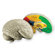 Learning Resources Cross-section Human Brain Model