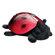 Cloud B Twilight Ladybug