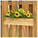 Diamond Teak Teak Rectangular Window Box Planter