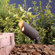 Kichler Architectural Bronze Mini Accent Spot Lighting 35W Set