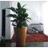 Vondom Fang Cono Alto Lacquered Round Flower Pot Planter