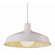 TransGlobe Lighting Back To Basics 1 Light Pendant