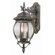 TransGlobe Lighting Outdoor 25"  Wall Lantern