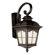 TransGlobe Lighting One Light Outdoor Down-Light Wall Lantern