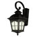 TransGlobe Lighting One Light Outdoor Down-Light Wall Lantern