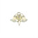 Zaneen Lighting Z6000 Series Two Light Vanity Light in Bamboo
