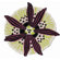 Missoni Home Botanica Rug