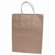 Consolidated Stamp Premium Large Brown Paper Shopping Bag, 50 per Pack                                                                          
