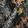 Crooked Horn Outfitters Medium Mossy Oak Break Up Bino-Shield