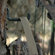 Crooked Horn Outfitters MAX 1 Outdoor Terrain Trail Blazer Backpack II