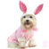 Puppe Love Bunny Dog Costume