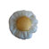 Dogzzzz Tough Chew Egg Dog Toy