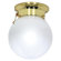 Nuvo Lighting 7.25" 1 Light Ball Semi Flush Mount