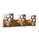 Varaluz Fascination 3 Light Bath Sconce