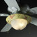 Justice Design Group Kid's Room Two Light Bowl Ceiling Fan Light Kit