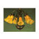 Meyda Tiffany NouveauPond Lily 7 Light Chandelier