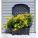 Exaco Calypso Square Planter with Trellis