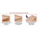Steffy Wood Products Multi-Section Storage