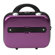 Heys USA vCase Beauty Case