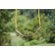 Kids Creations Red Belt Swing