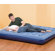 Pure Comfort Queen Low Profile Flock Top Air Bed