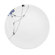 Ink Dish Kites 10" Dinner Plate