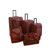 American Flyer Budapest 5 Piece Spinner Luggage Set
