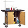 Fleetwood Basic Mobile Science Lab Station with Sink