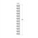 VintageView WS4 Series 12 Bottle Wall Mounted Wine Rack