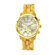Michael Kors Women's Classic Gold Tone Acrylic Watch