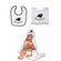 McArthur Towels NFL Team Toddler Set
