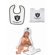 McArthur Towels NFL Team Toddler Set