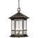 Forte Lighting Four Light Outdoor Pendant