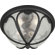 Forte Lighting 13"Two Light Outdoor Flush Mount with Clear Seeded Glass