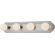 Forte Lighting Four Light Bath Vanity Strip