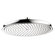 Hansgrohe Raindance C 300 Shower Head