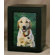 Star Legacy Funeral Network Large Photo Pet Urn in Black Satin