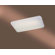 Minka Lavery 2 Light Ceiling Cloud Flush Mount