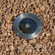 Smart Solar Solar Stainless Steel Step Light