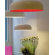 Oluce Canopy Suspension Lamp