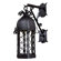 Great Outdoors by Minka Montalbo Outdoor Wall Lantern - Energy Star