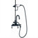Elizabethan Classics Wall Mount Gooseneck Tub Faucet with Hand Shower and Metal Lever Handles for Shower System