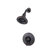 Price Pfister Portola Dual Control Shower Trim
