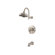 Price Pfister Ashfield  Tub Faucet and Shower with Trim