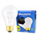 Bulbrite Industries 40W Long Life General Service Standard A19 Incandescent Bulb in Clear (Pack of 2)