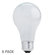 Bulbrite Industries A19 Friendly Halogen Bulb